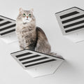 Wall Mounted Cat Perch metal shelves - EWART WOODS