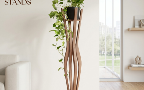 Why We Started Designing Plant Stands (And Why Our Office Has Around 15 Plants)