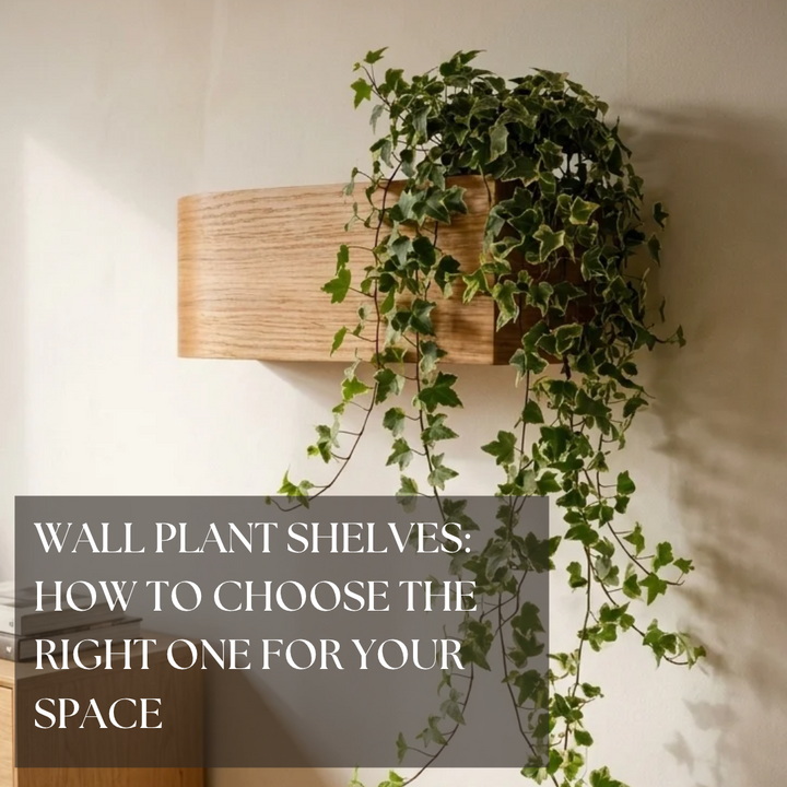 Wall Plant Shelves: How to Choose the Right One for Your Space