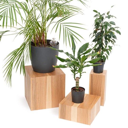 A set of 3 wooden cube plants stands in different dimensions with vertical groove design on one corner