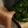 Close-up of a curved wooden plant stand with a polished wood grain texture, seamless edges, and a sturdy, minimalist design. A potted plant with cascading leaves sits on top, highlighting the stand’s craftsmanship.
