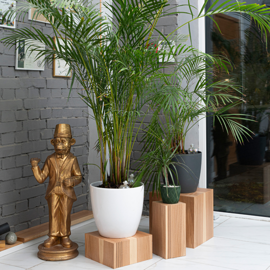 Eco-friendly and modern wooden cube plant stand set of three