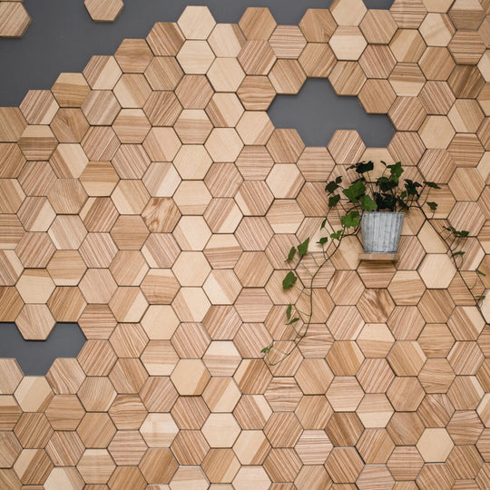 Wall decorated with hexagonal wooden tiles arranged in a honeycomb pattern, featuring varying wood textures and a small plant hanging within the design.